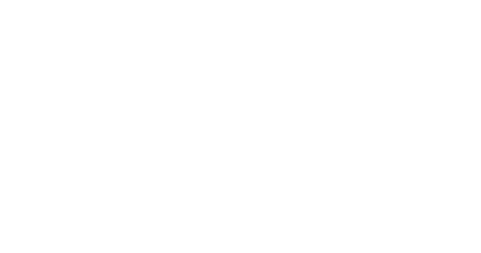 ruegamer-steiner logo
